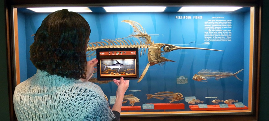 augmented reality app im museum